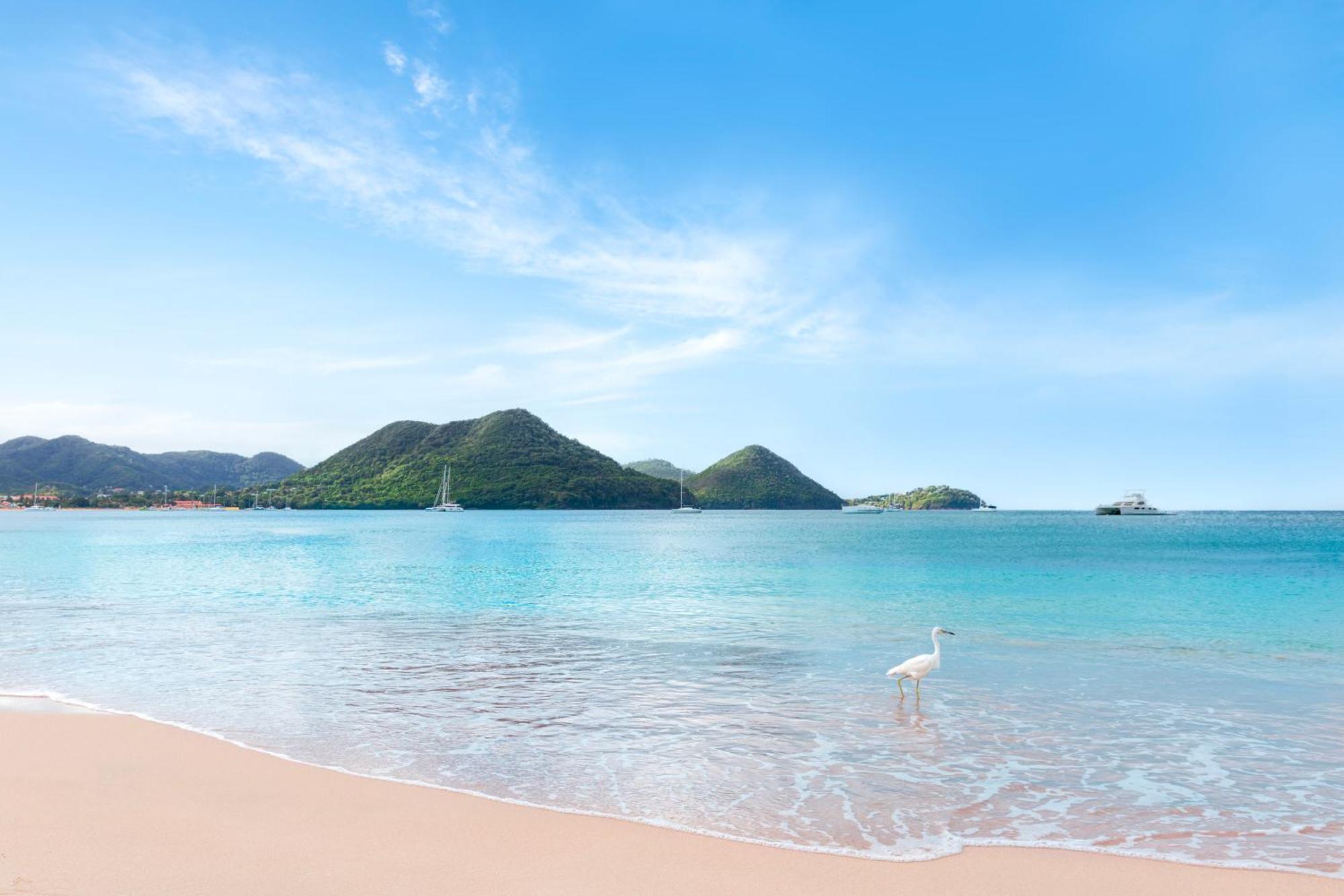 The Landings Resort And Spa - All Suites Gros Islet Eksteriør billede